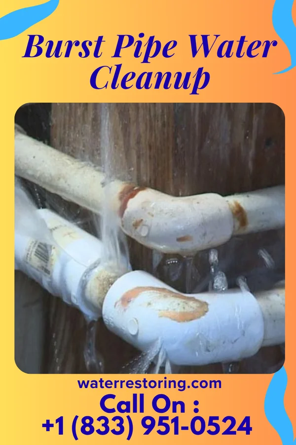 Burst Pipe Water Cleanup in Pekin, IL
