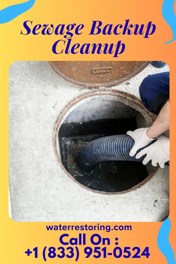 Sewage Backup Cleanup in Pekin, IL