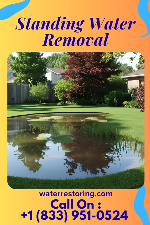 Standing Water Removal in Pekin, IL